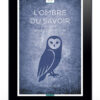 L'Ombre du savoir de Solène Nahodha - nouvelle lesbienne de fantasy gratuite